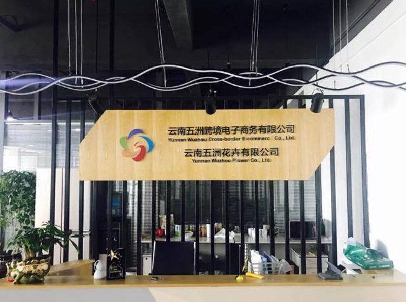 电商行业新风向：极度购官网引领消费潮流